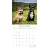 2026 Square Wall Calendar, French Bulldogs, 16-Month Paw Prints Theme with 180 Reminder Stickers (12x12 In) - 3 of 4