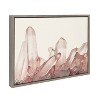 Kate and Laurel Sylvie Pink Quartz Framed Canvas by Emiko and Mark Franzen of F2Images, 18x24, Gray - 2 of 4