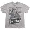Boys' Short Sleeve Batman the Mr. Freeze Mugshot T-Shirt - 2 of 4