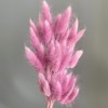 Alilang Dried Bunny Tail Grass Stems for Modern Home Decoration and Floral Arrangements, 23.5 Inches - 2 of 3