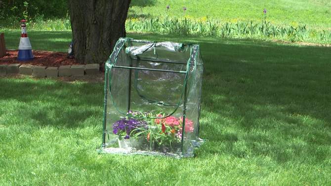 Sunnydaze Mini Greenhouse with 2 Zippered Side Doors - Clear, 2 of 14, play video