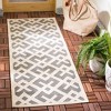 Courtyard CY6915 UV & Stain Resistant Non-Shedding Power Loomed Indoor/Outdoor Rugs - Safavieh - 2 of 4