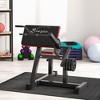 Whisen  Adjustable 2-in-1 Preacher Curl and Tricep Extension Strength Training Machine with Adjustable Seat and Elbow Cushion - Black - 2 of 4