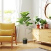 HOMCOM Fake Plant, Artificial Fiddle Leaf Fig Tree, Potted Plant with 28 PEVA Leaves and Flocked Soil, Green - 2 of 4