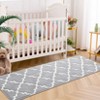 Modern Rug Non Slip Low Pile Rug Soft Contemporary Throw Floor Cover Foldable Indoor Carpet for Living Room Bedroom Playroom Nursery - 3 of 4