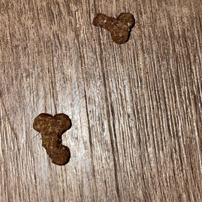 Guest review image 1 of 2, zoom in