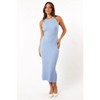 Petal and Pup Brighton Maxi Dress - 4 of 4