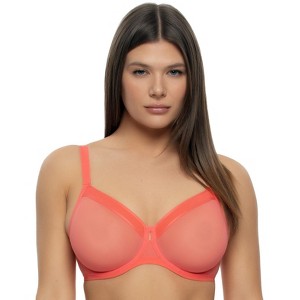 Ethereal Sheer Mesh Unlined Underwire Bra - 1 of 3