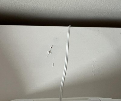 Guest review image 1 of 1, zoom in