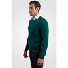 JENNIE LIU Men's 100% Pure Cashmere Long Sleeve Pullover Crewneck Sweater - 3 of 4