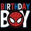 Boy's Husky Marvel Spider-Man Birthday Boy Mask - 2 of 3