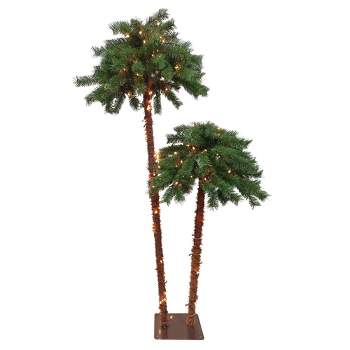 Northlight 6ft Lighted Artificial Tropical Palm Tree Duo, Clear Lights