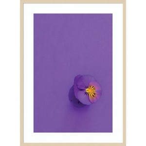 Amanti Art Lavender Pansy by Incado Wood Framed Wall Art Print - 1 of 4