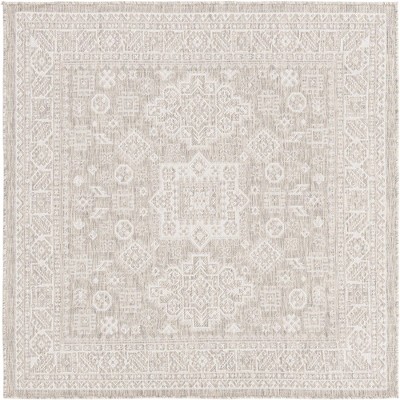 Unique Loom 5' 3 X 5' 3 Square Indoor/outdoor Aztec Light Gray Area Rug ...
