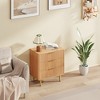 Dresser for Bedroom, Fluted Dressers & Chest of Drawers, Wooden Storage Organizer with Gold Metal Handles & Legs for Living Room, Entryway - 2 of 4