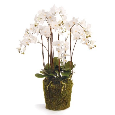 Plum & Post Phalaenopsis Orchid Faux (Fake) Drop-In 36"