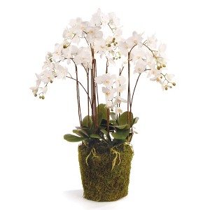 Plum & Post Phalaenopsis Orchid Faux (Fake) Drop-In 36" - 1 of 4