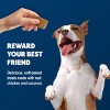 Blue Buffalo All Ages Dog Treat with Chicken & Coconut Flavor - 9oz - 4 of 4