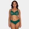 Curvy Couture Women's Mesh High Cut Brief Panty Sunset Glow - 3 of 4