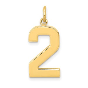 Black Bow Jewelry 14k Yellow Gold, Athletic Collection, Large Polished Number 2 Pendant - 1 of 4