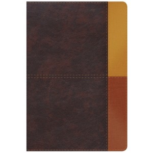 Rvr 1960 Biblia de Estudio Arcoiris, Cocoa/ Terracota Símil Piel Con Índice - by  B&h Español Editorial (Leather Bound) - 1 of 1