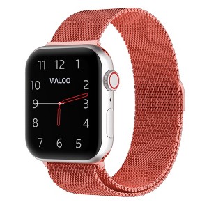 Waloo Magnetic Mesh Band For Apple Watch Series 10/9/8/7/6/5/4/3/2/1/SE/Ultra - 1 of 2