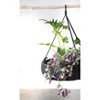 Storied Home Hand-Woven Hanging Rattan Basket with Jute Rope Hanger - 3 of 4