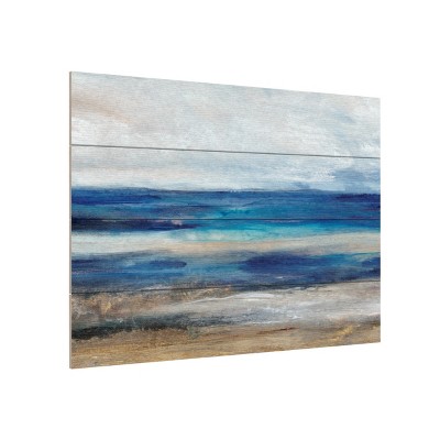 Trademark Fine Art -Tim Otoole 'Movement I' Wood Slat Art