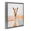 Stupell Industries Rustic Llama Portrait, 18" x 18" - 3 of 4