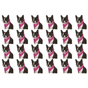 24 Pack Cotton Paisley Dog Bandanas Bulk Set for Groomers Shelters or Parties - 1 of 4