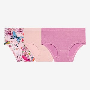 Girls Watercolor Butterfly - Girls 3-Piece Brief Set - Posh Peanut - 1 of 4