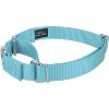 Country Brook Design Martingale Heavyduty Nylon Dog Collar and Double Handle Leash - 2 of 4