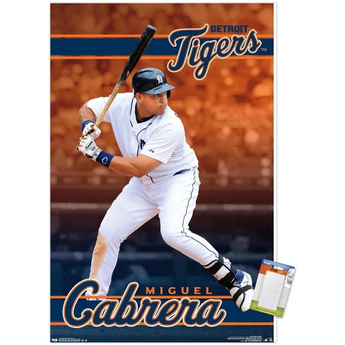 MLB Detroit Tigers - Comerica Park 22 Wall Poster, 14.725 x 22.375 