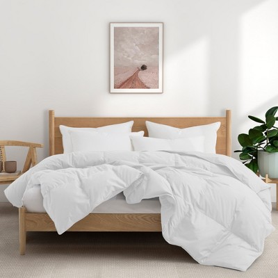 Puredown All Season Organic Cotton Down Comforter - 100% Natural, Chemical-Free, Medium Warmth Duvet Insert