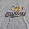 Webster University Official Distressed Primary Logo Adult Pull-Over Hoodie - 2 of 4