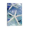 iCanvas Seaglass 1 Blue by Alan Blaustein Canvas Print Wall Art - 2 of 3