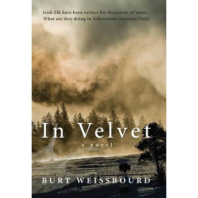 In Velvet - by  Burt Weissbourd (Hardcover)