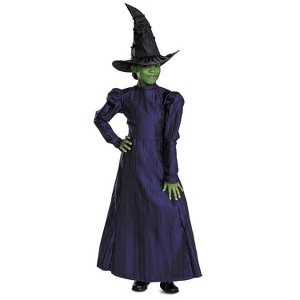 Toddler Deluxe Wicked™ Elphaba Purple Dress Costume - 3T-4T - 1 of 4