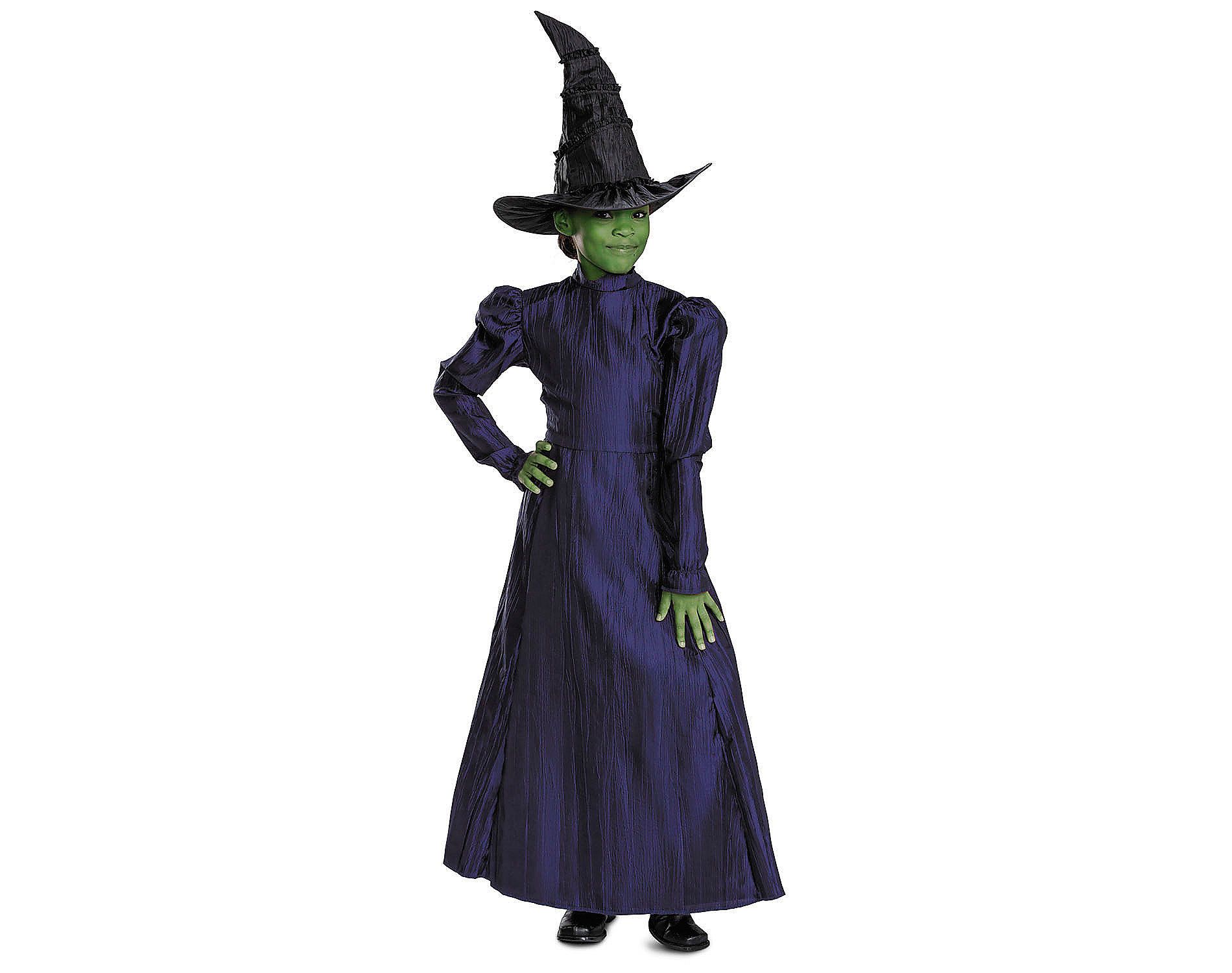 Toddler Deluxe Wicked™ Elphaba Purple Dress Costume - 3T-4T
