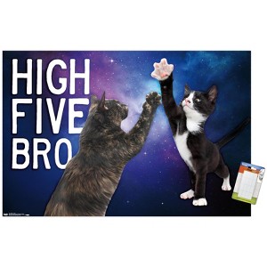 Trends International Keith Kimberlin - Kittens - High Five Bro in Space Unframed Wall Poster Prints - 1 of 4