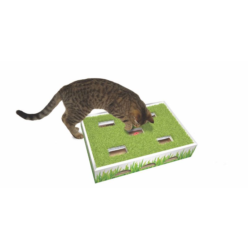 Petstages Grass Patch Hunting Box Cat Scratcher, 4 of 6