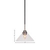 Toltec Lighting Paramount 1 - Light Pendant in  Matte Black/Brushed Nickel with 10" Clear Bubble Shade - 2 of 2