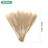Unique Bargains Small Fake Fluffy Faux Pampas Grass for Home 40 cm/16 Inch - 3 of 4