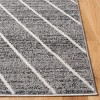 Adirondack ADR251 Machine Made Indoor Rug - Safavieh - 3 of 4