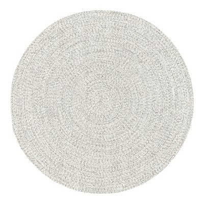 Nuloom Wynn Braided Indoor/Outdoor Area Rug