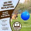GoSports Medium to Large Dog Herding Ball with Bite-Proof Cover - 25 Inch Blue - 4 of 4