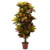 Nearly Natural 56-in Croton Plant (Real Touch) - 2 of 4