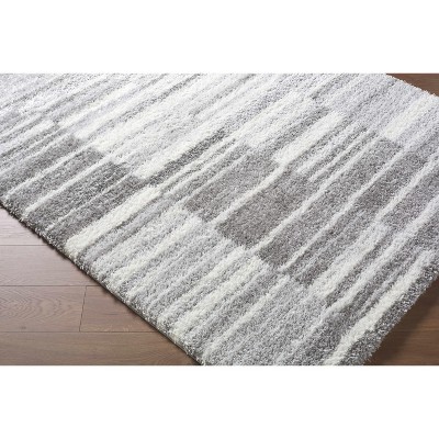 Hauteloom Carlen Living Room, Bedroom Area Rug - Contemporary - Plush Pile