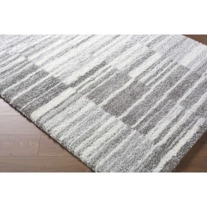 Hauteloom Carlen Living Room, Bedroom Area Rug - Contemporary - Plush Pile - 1 of 4