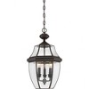 Quoizel Lighting Newbury 3 - Light Pendant in  Medici Bronze - 4 of 4